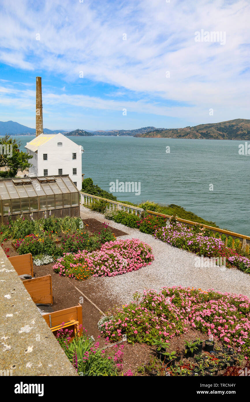 Quartermaster & Rose Garden all'Alcatraz con Angel Island in background e la baia di San Francisco, California Foto Stock