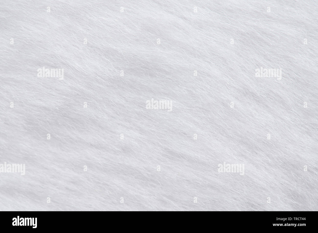 Coniglietto bianco pelliccia macro sfondo vista ravvicinata Foto Stock