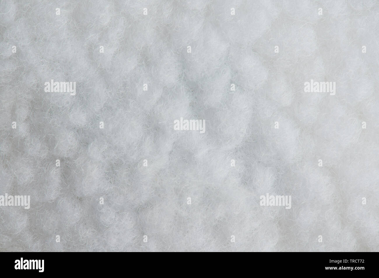 Bianco di pelo di agnello texture vista ravvicinata. Ovini i capelli bianchi Foto Stock