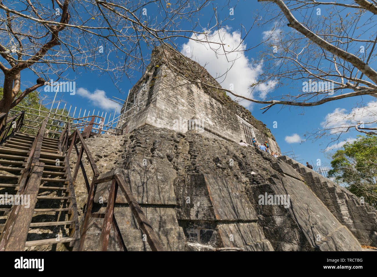 Salendo le scale fino alle antiche rovine Maya al Parco Nazionale di Tikal, Guatemala Foto Stock