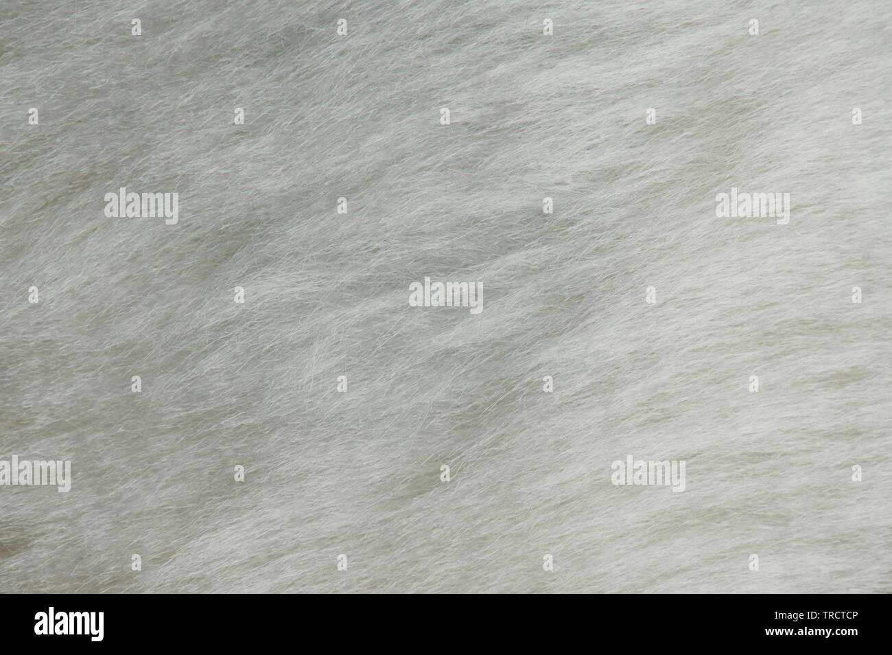 Grigio soft texture di sfondo fino vicino. Pelo di gatto pattern Foto Stock