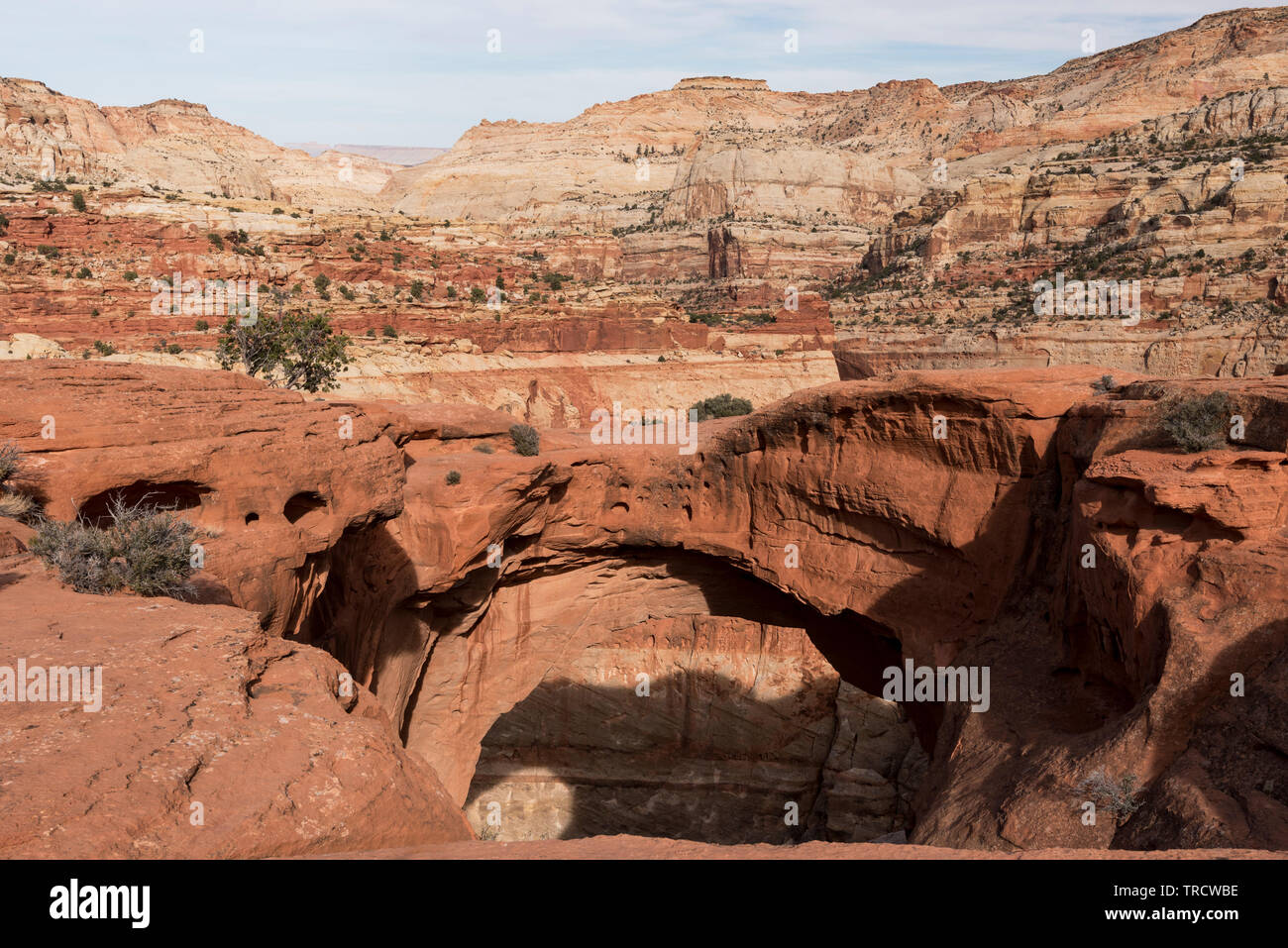 Cassidy Arch è un sorteggio per arrampicatori e avventure all'interno di Capital Reef National Park nello Utah. Foto Stock