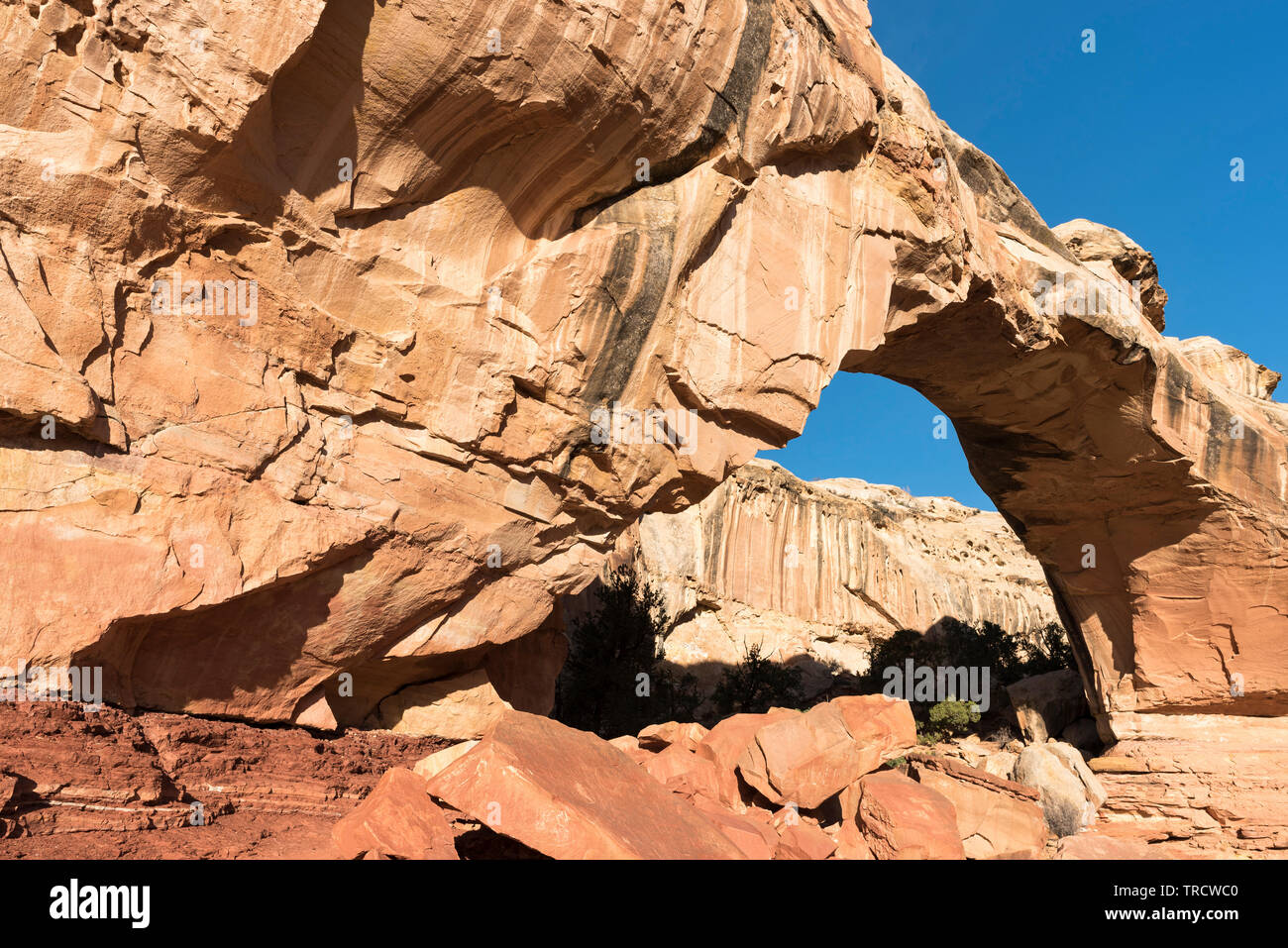 Hickman Bridge è un famoso punto di riferimento naturale situato all'interno di Capital Reef National Park nello Utah. Foto Stock