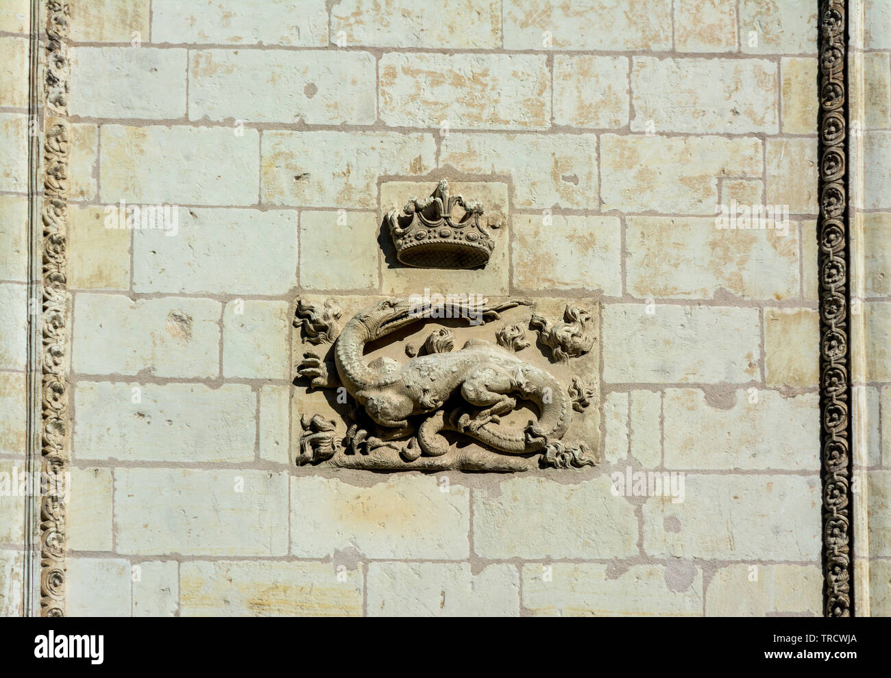 Salamandre sulla facciata del Francois I er ala del castello di Blois, Blois, Loir-et-Cher reparto, Center-Val de la Loire, in Francia, in Europa Foto Stock