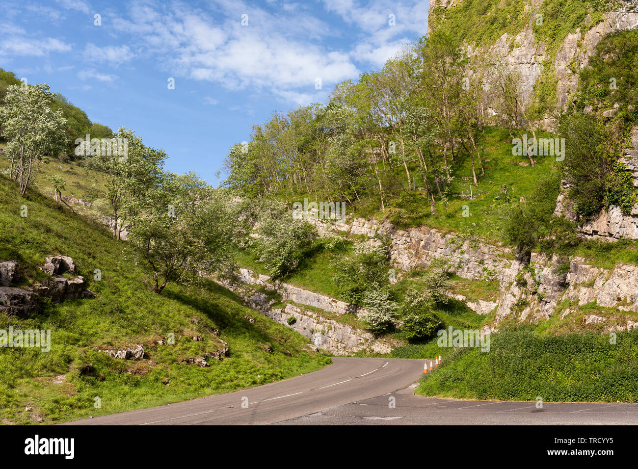 Cheddar Gorge è una gola calcarea nelle colline Mendip, Cheddar, Somerset, Inghilterra, U. Foto Stock