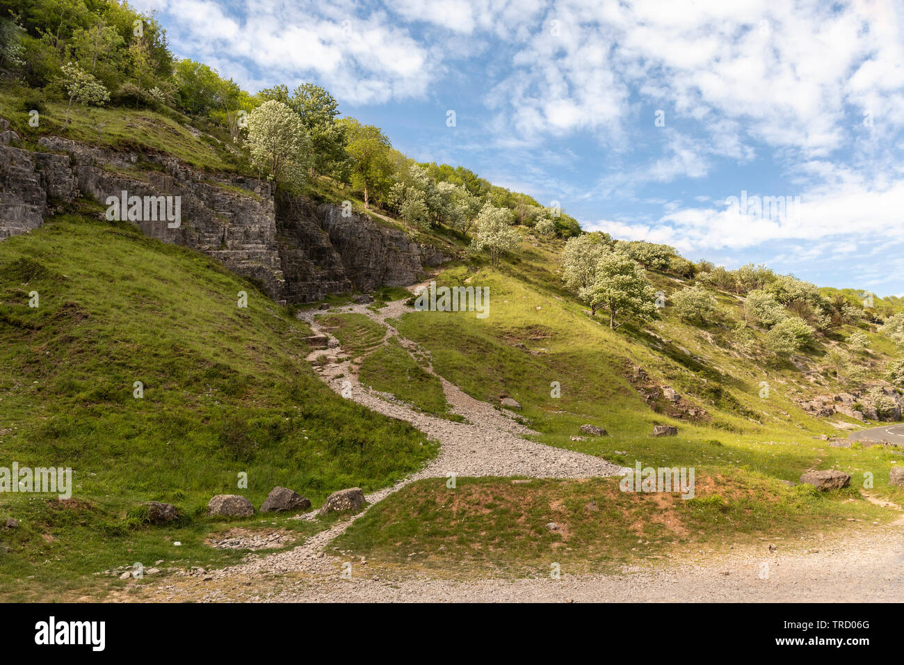Cheddar Gorge è una gola calcarea nelle colline Mendip, Cheddar, Somerset, Inghilterra, Regno Unito Foto Stock