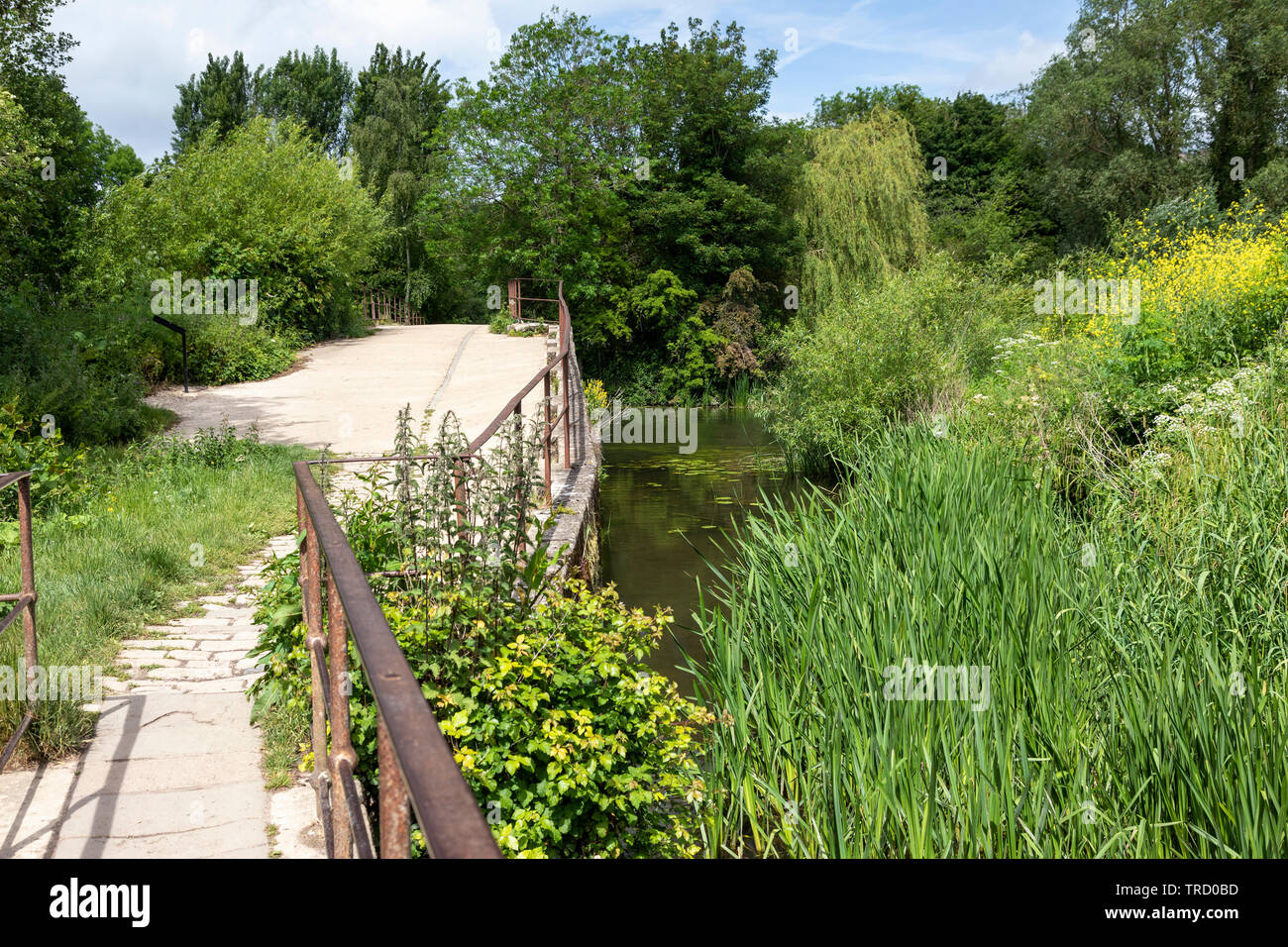 Ponte del Barton Farm Country Park, Bradford on Avon, Wiltshire, Inghilterra, Regno Unito Foto Stock