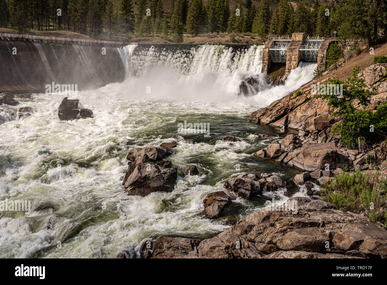 Little Falls Dam sul Fiume Spokane Foto Stock
