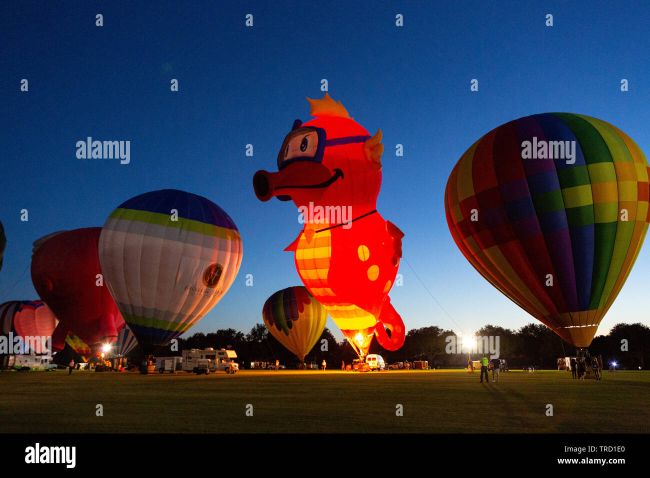 Bagliore di palloncino al 2019 villaggi Polo Club Hot Air Balloon Festival Foto Stock