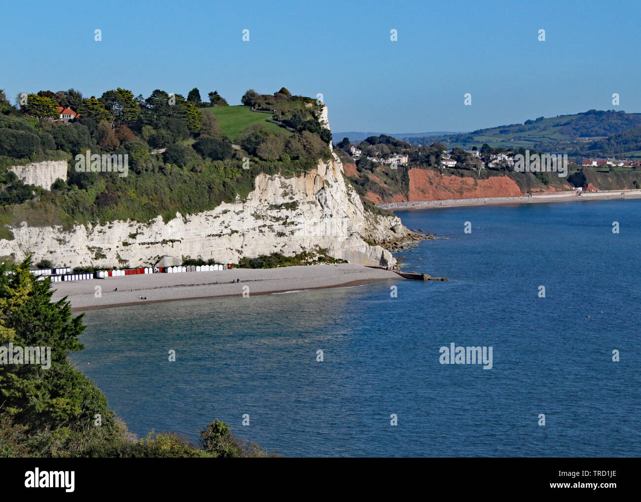 La vista della baia di Seaton dal piccolo Devon villaggio sul mare di birra Foto Stock