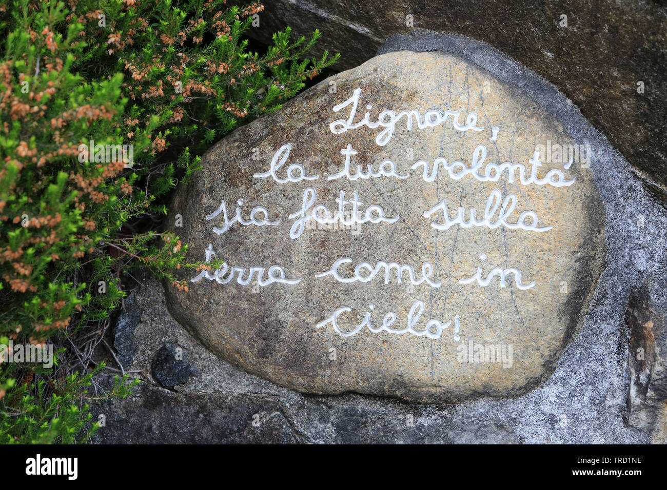 Cattedrale di Notre Dame de Lourdes. Eglise Saint-Georges. Cannero Riviera. Italie. Nostra Signora di Lourdes. Chiesa di San Giorgio. Cannero Riviera. L'Italia. Foto Stock