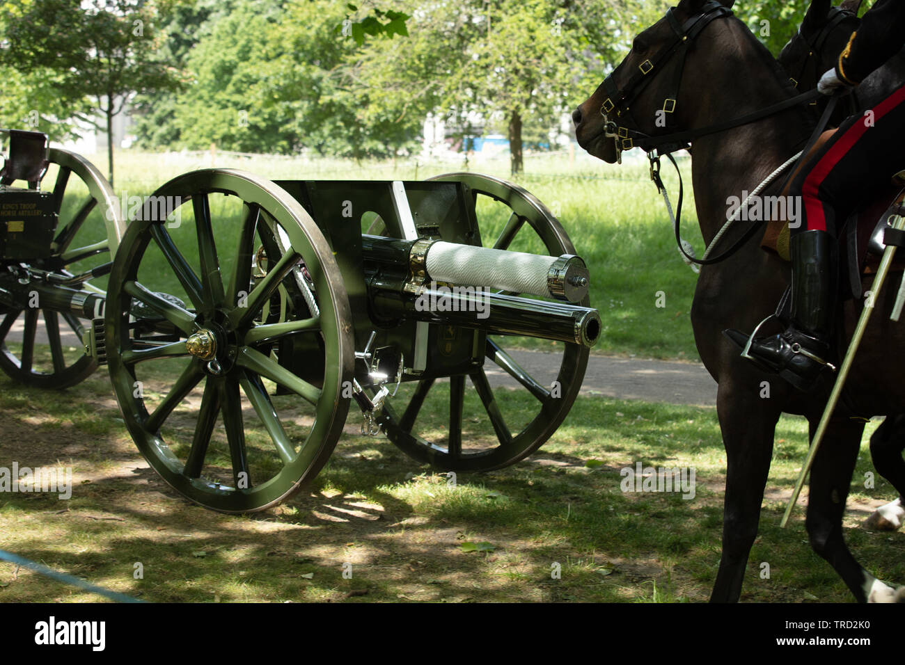 Londra, Regno Unito. Il 3 giugno 2019. Canon sparato dal re truppa Royal Artiglieria a cavallo nel parco verde in un 41Gun Royal Salutate in onore della visita di Donald Trump, al Presidente degli Stati Uniti d'America. Credito: Alamy News / Joe Kuis Foto Stock