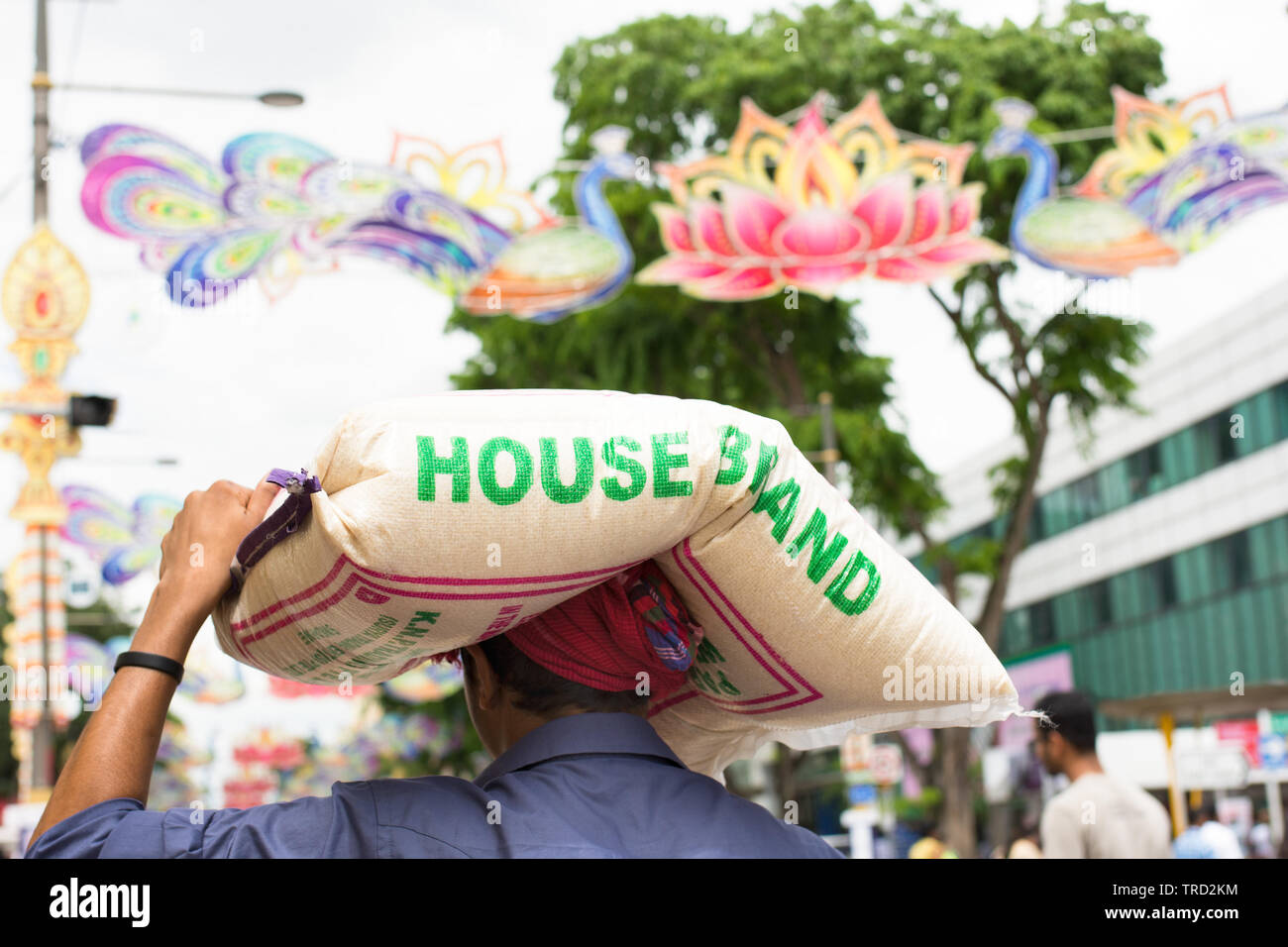 Un maschio indiano porta una grande borsa di House Brand riso sulla sua testa lungo una strada di città. Foto Stock