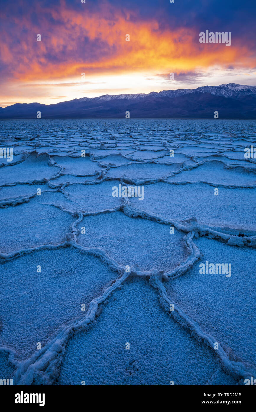 Forma poligonale saline e Panamint Range, bacino Badwater, Parco Nazionale della Valle della Morte, California USA Foto Stock
