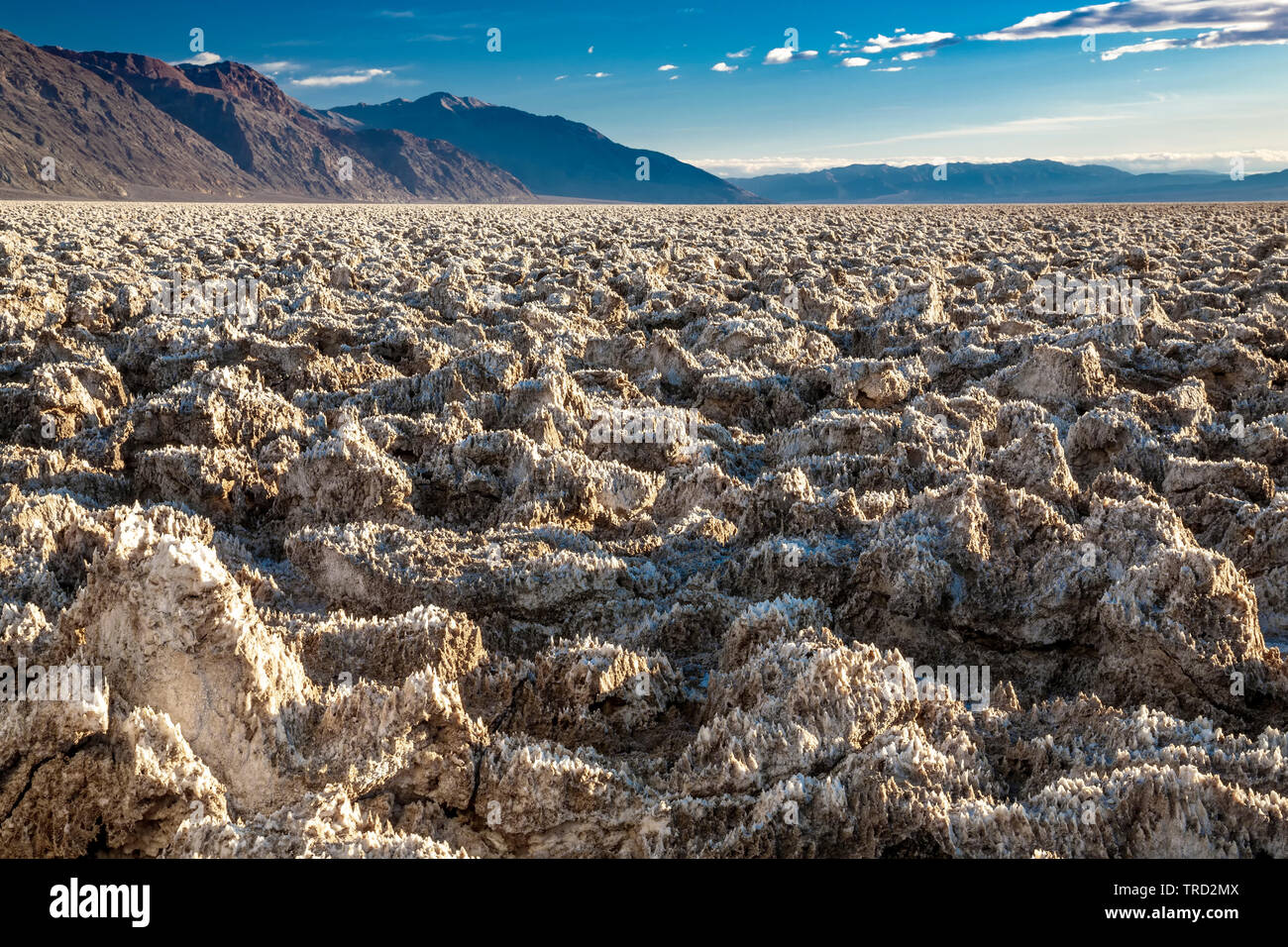 Pinnacoli di sale sul Devil's Campo da Golf, il Parco Nazionale della Valle della Morte, California USA Foto Stock