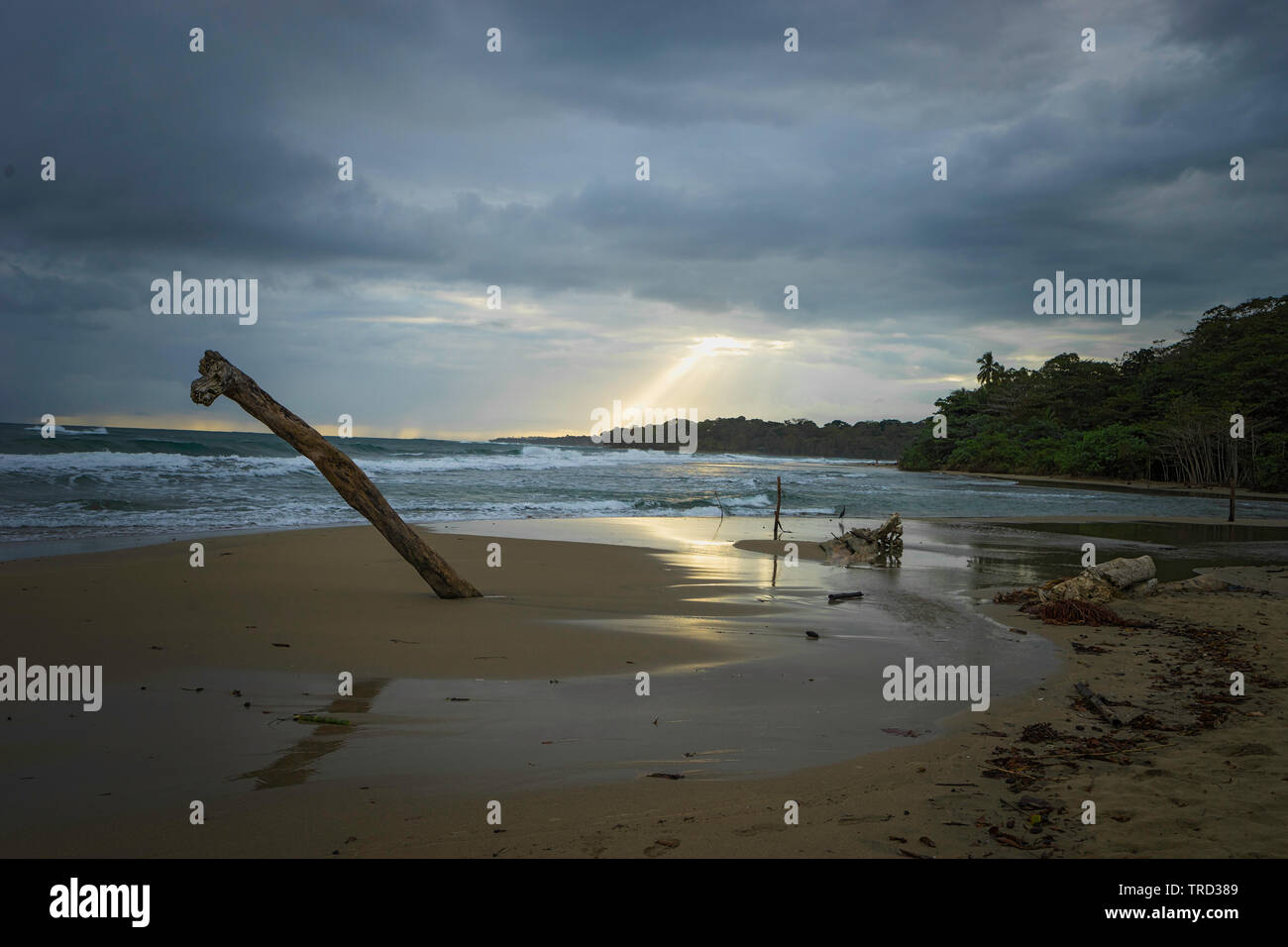 COSTA RICA SPIAGGIA E della linea costiera con la mattina presto e la luce di riflessione sulla sabbia bassa marea Foto Stock