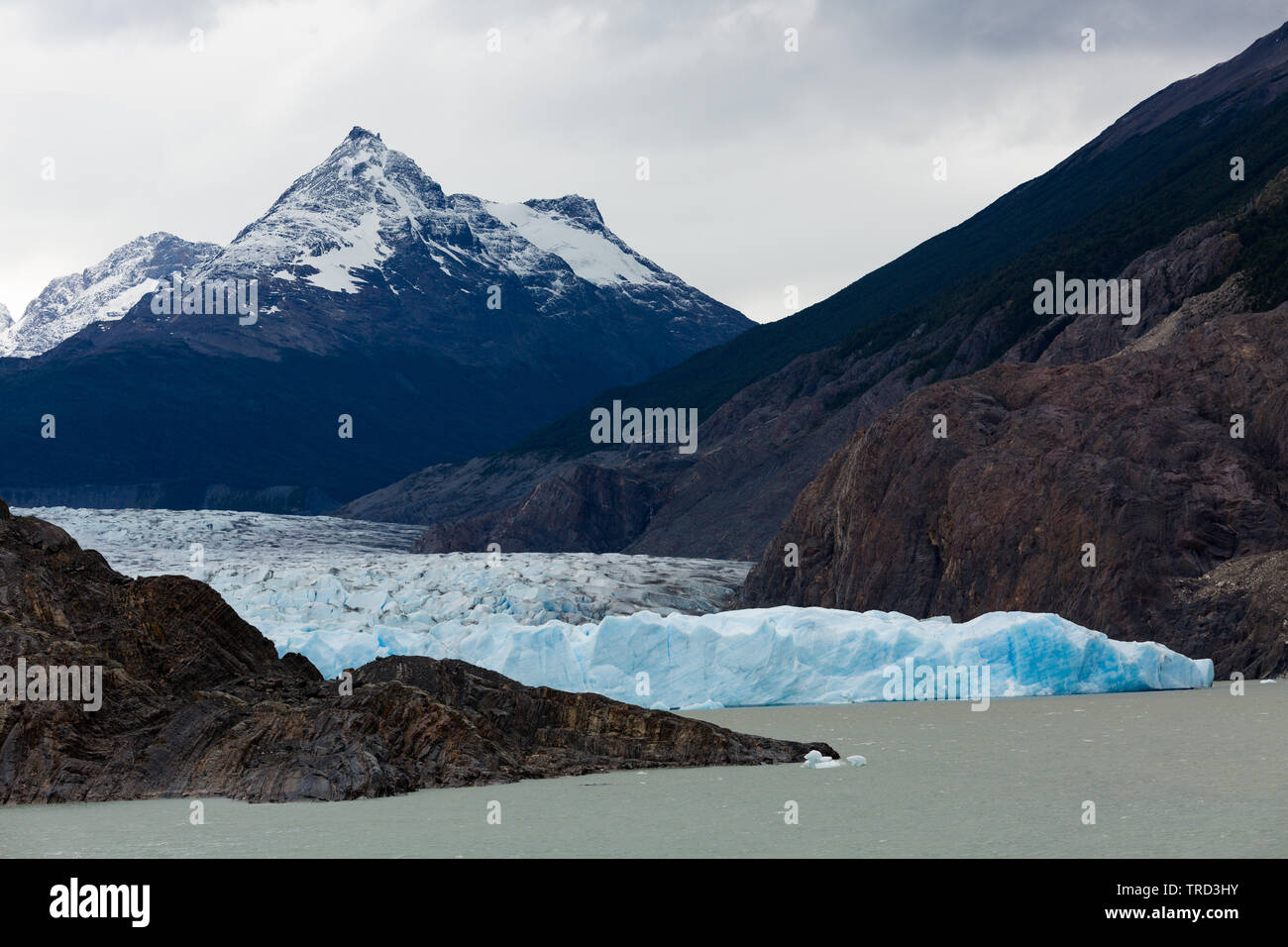 Ghiacciaio Grey con le montagne sullo sfondo Foto Stock