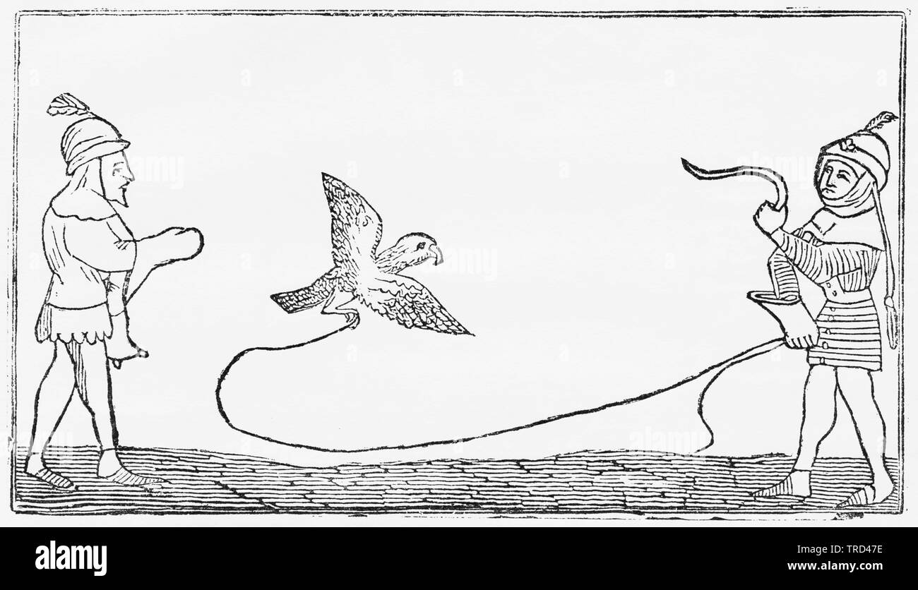 Da "Livre du Roy Modus" la più antica di tutte le opere su Hawking e falconeria Illustrazione da John Cassell è illustrata la storia dell'Inghilterra, Vol. Ho fin dai primissimi tempi al regno di Edward il quarto, Cassell Petter e Galpin, 1857 Foto Stock