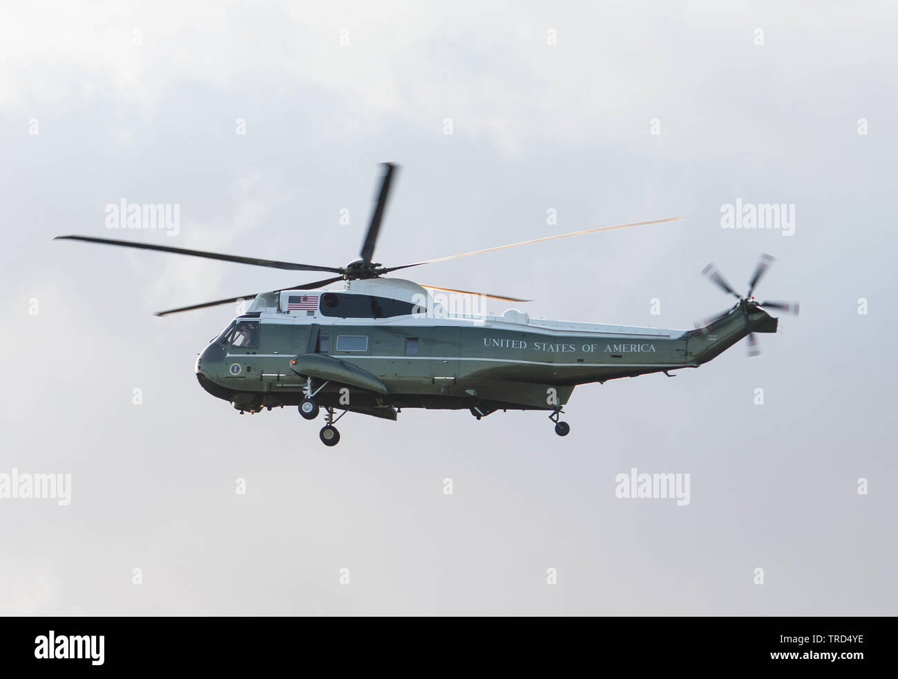 Londra, Regno Unito. Il 3 giugno, 2019. Persone tengono cartelloni in segno di protesta come quella del presidente di elicotteri Marino arriva per un banchetto di Stato a Buckingham Palace Michael Tubi / Alamy Live News Foto Stock