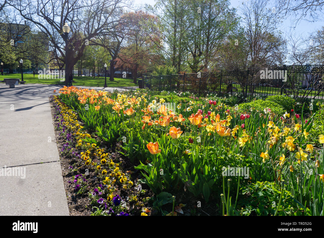 Giardini di Allen è sempre un ottimo posto da visitare e relax a Toronto Foto Stock