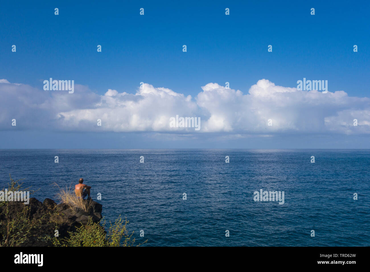 Il visualizzatore di solitario a Alahaka Bay, Pu'uhonua o Honaunau National Park in Hawaii. Foto Stock