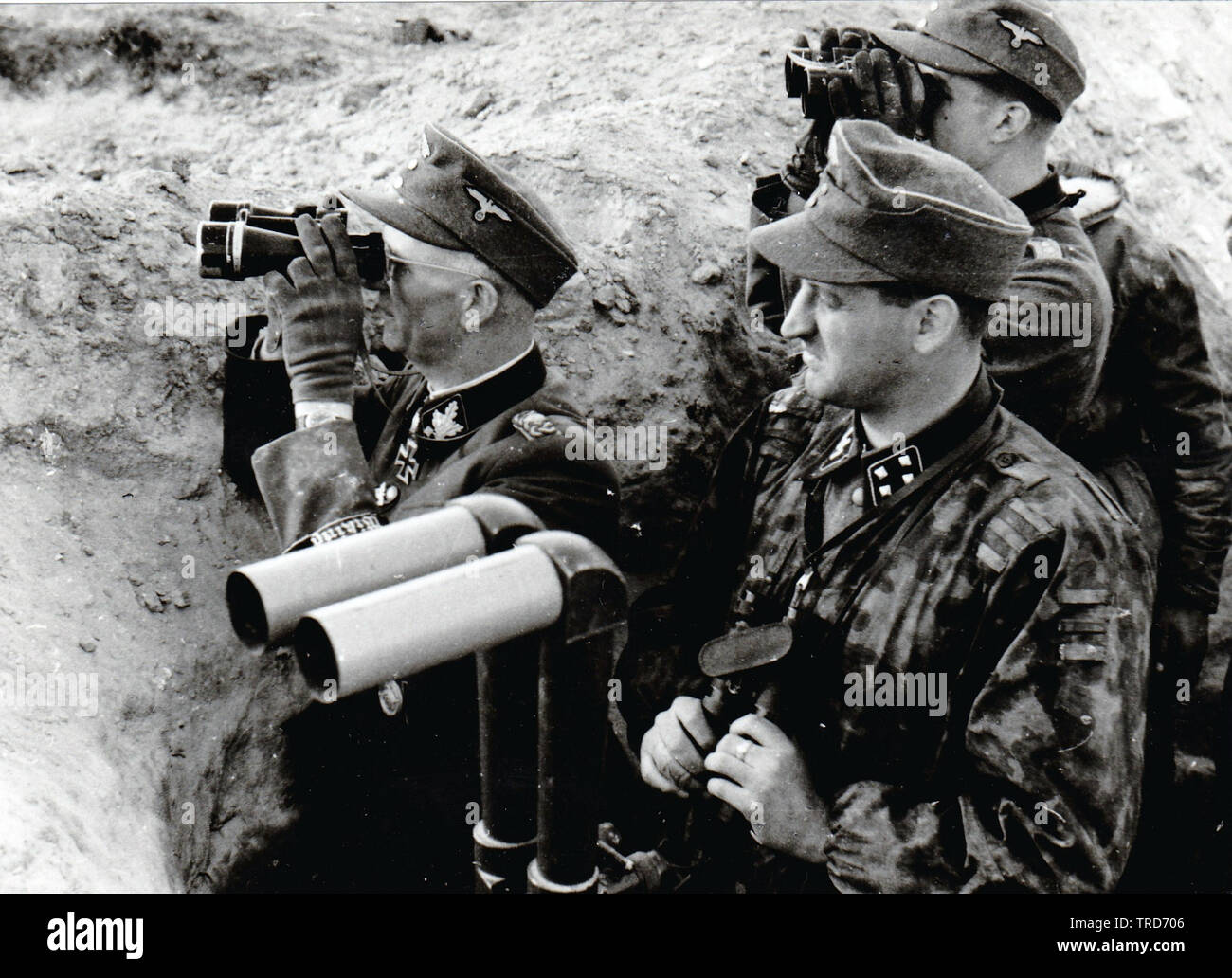 5 SS Panzer Division Commander Gruppenführer (General)Gille in montagna con Binnoculars con Sturmbannführer (grandi) Hack in una trincea di osservazione sul fronte orientale 1944 Foto Stock