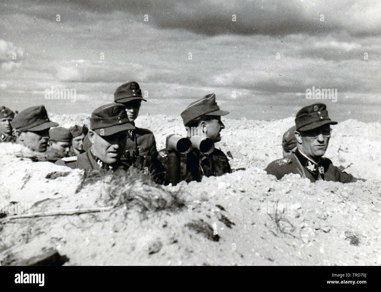 5th SS Wiking Division Comandante Gruppenführer Gille e altri ufficiali in una trincea di osservazione sul fronte orientale 1944 sul fronte russo Foto Stock