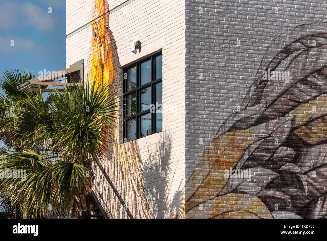 Coop 303 ristorante di arte murale a nord le spiagge in centro in Atlantic Beach, Florida. (USA) Foto Stock