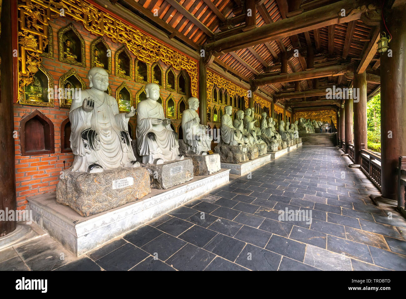 Tam del Buddha architettura principale in Bai Dinh complesso tempio attira i turisti a visitare uno dei più grandi del sud est asiatico Foto Stock