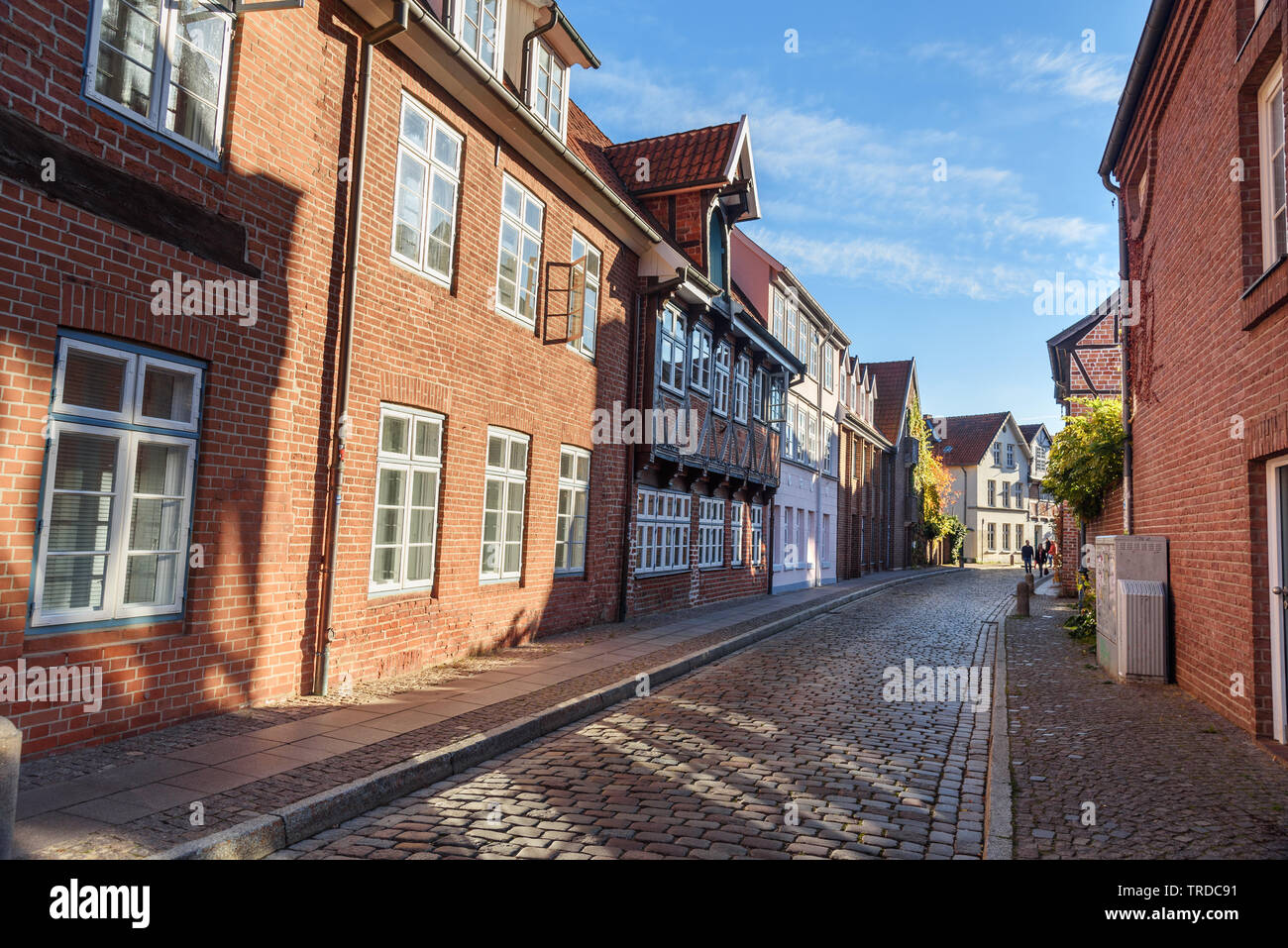 Strada medievale con vecchi edifici in mattoni di Luneburg. Germania Foto Stock