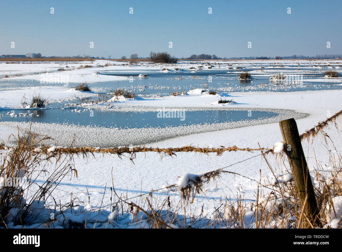 Uiterwaarden Vecht en Zwarte acqua in de winter, Paesi Bassi Overijssel Foto Stock