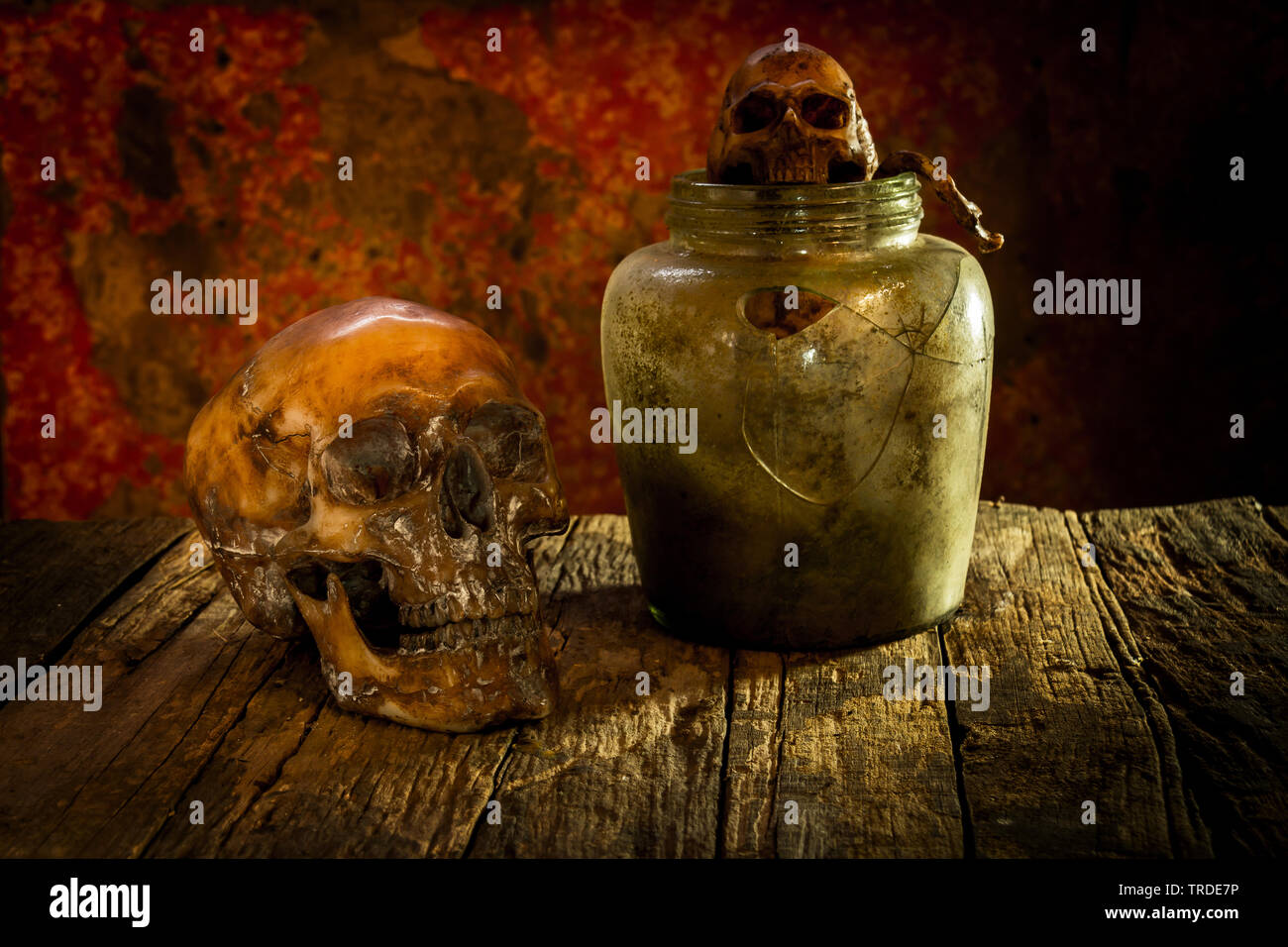 Natura morta con cranio e vasetti di vetro su legno Foto Stock