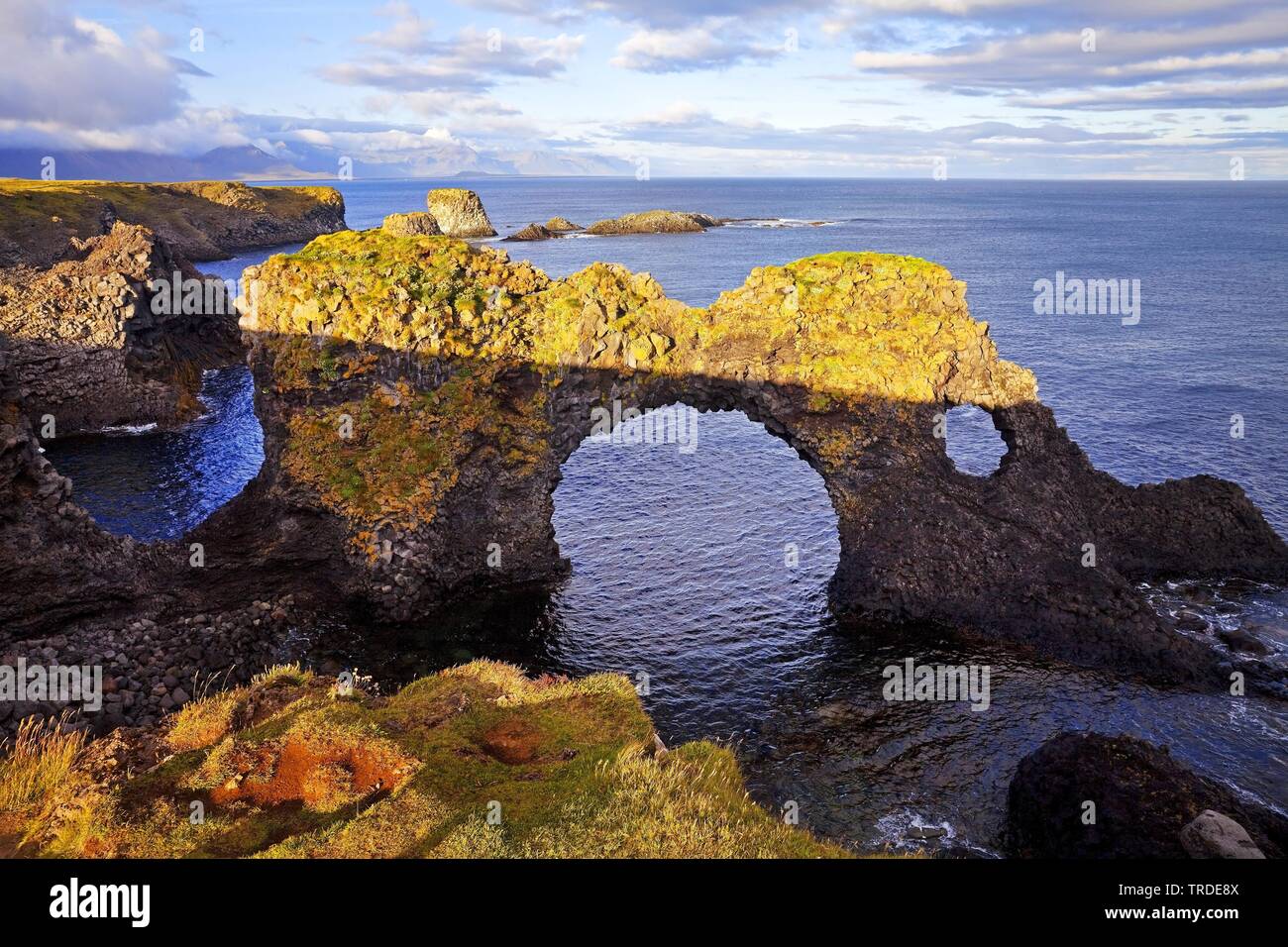 Gatklettur arch rock, Islanda, Vesturland, Snaefellsnes, Arnastapi Foto Stock