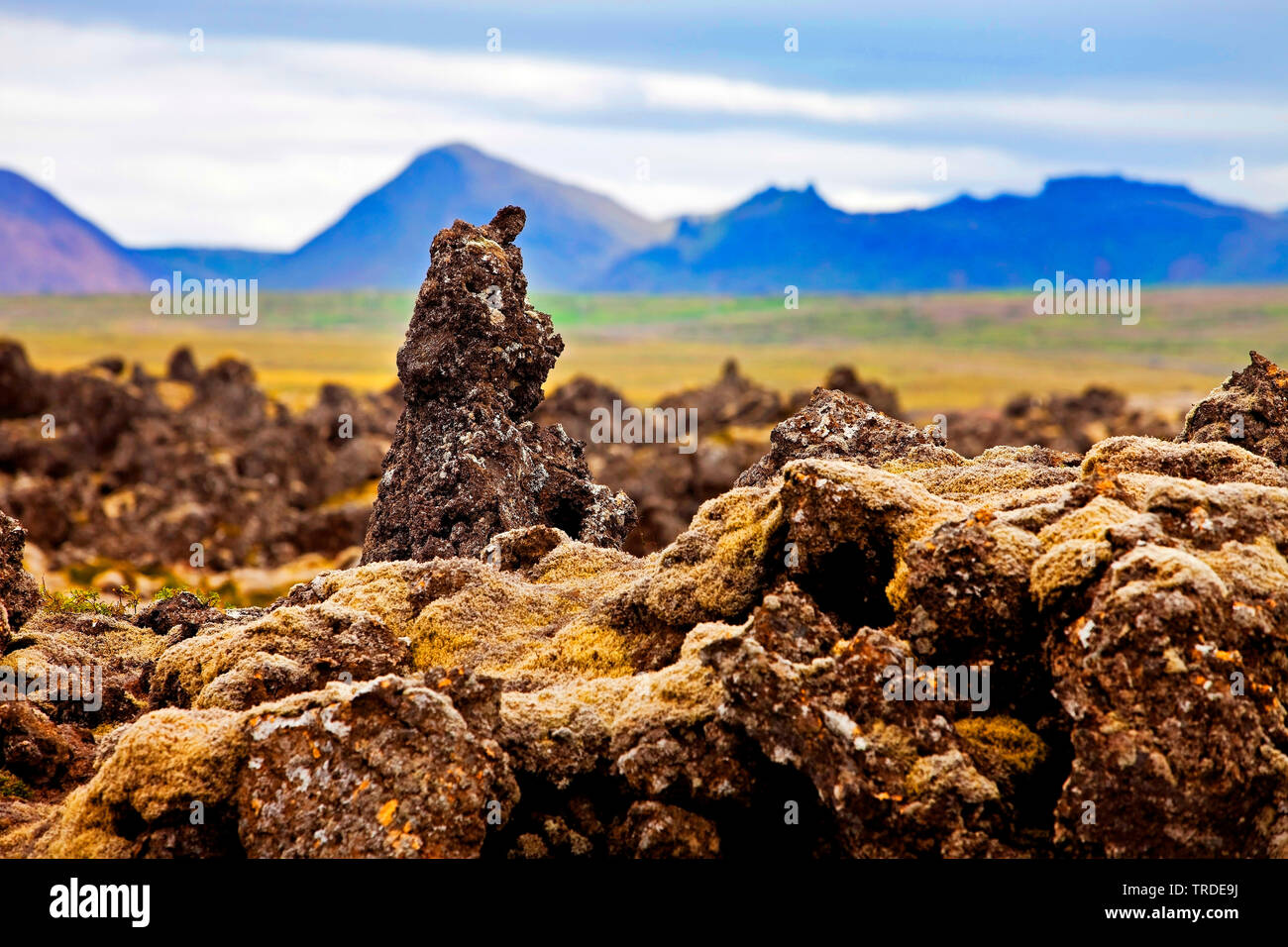 Campo di lava Berserkjahraun, Islanda, Vesturland, Snaefellsnes Foto Stock