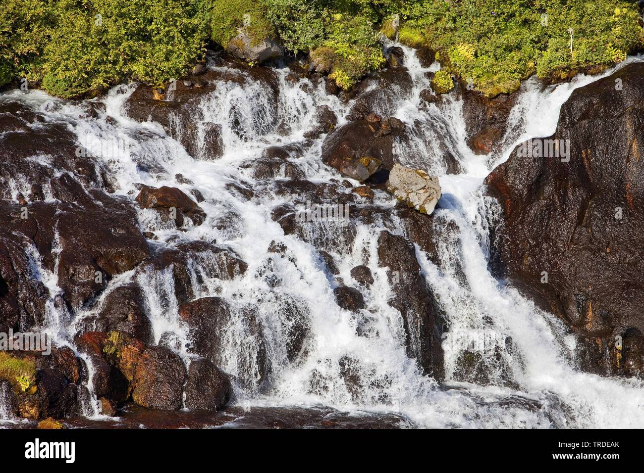 Cascate Hraunfossar versare nel fiume Hvita, Islanda, West Islanda Foto Stock