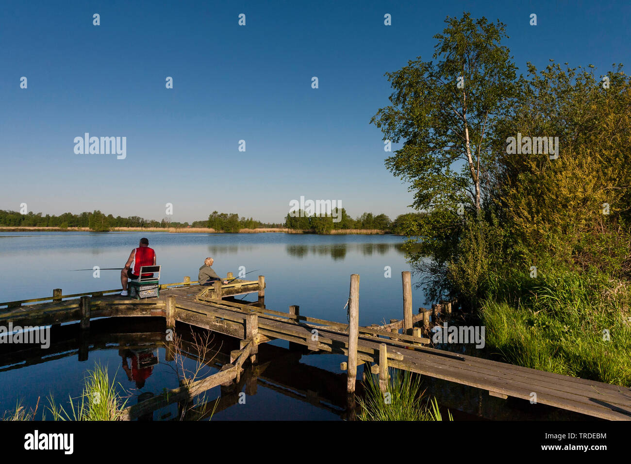 Pontile a lago, Paesi Bassi, Frisia, Rottige Meente Foto Stock