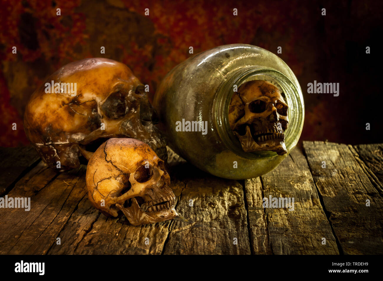 Natura morta con cranio e vasetti di vetro su legno Foto Stock