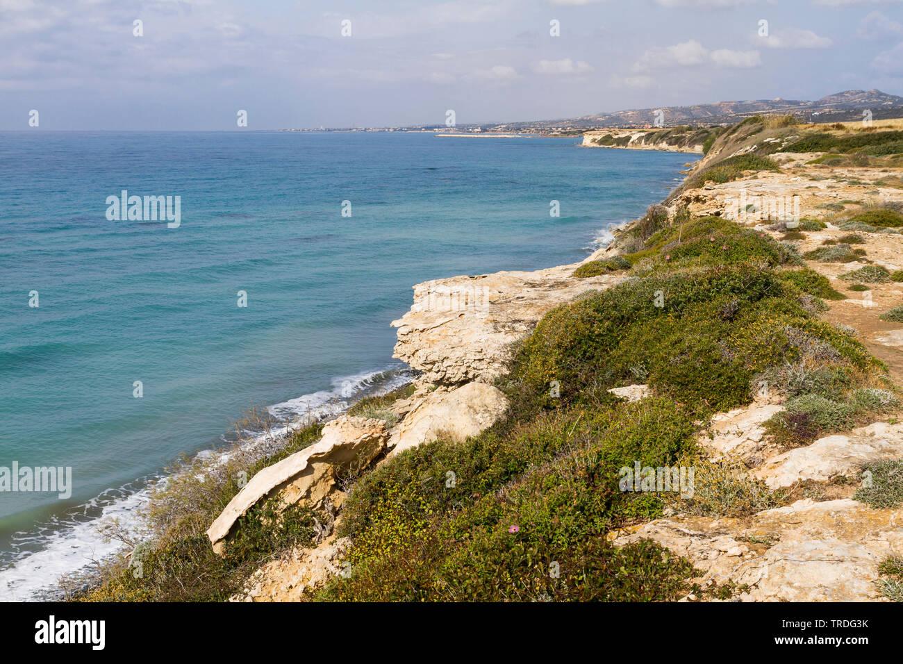 Costa di roccia, Cipro Foto Stock