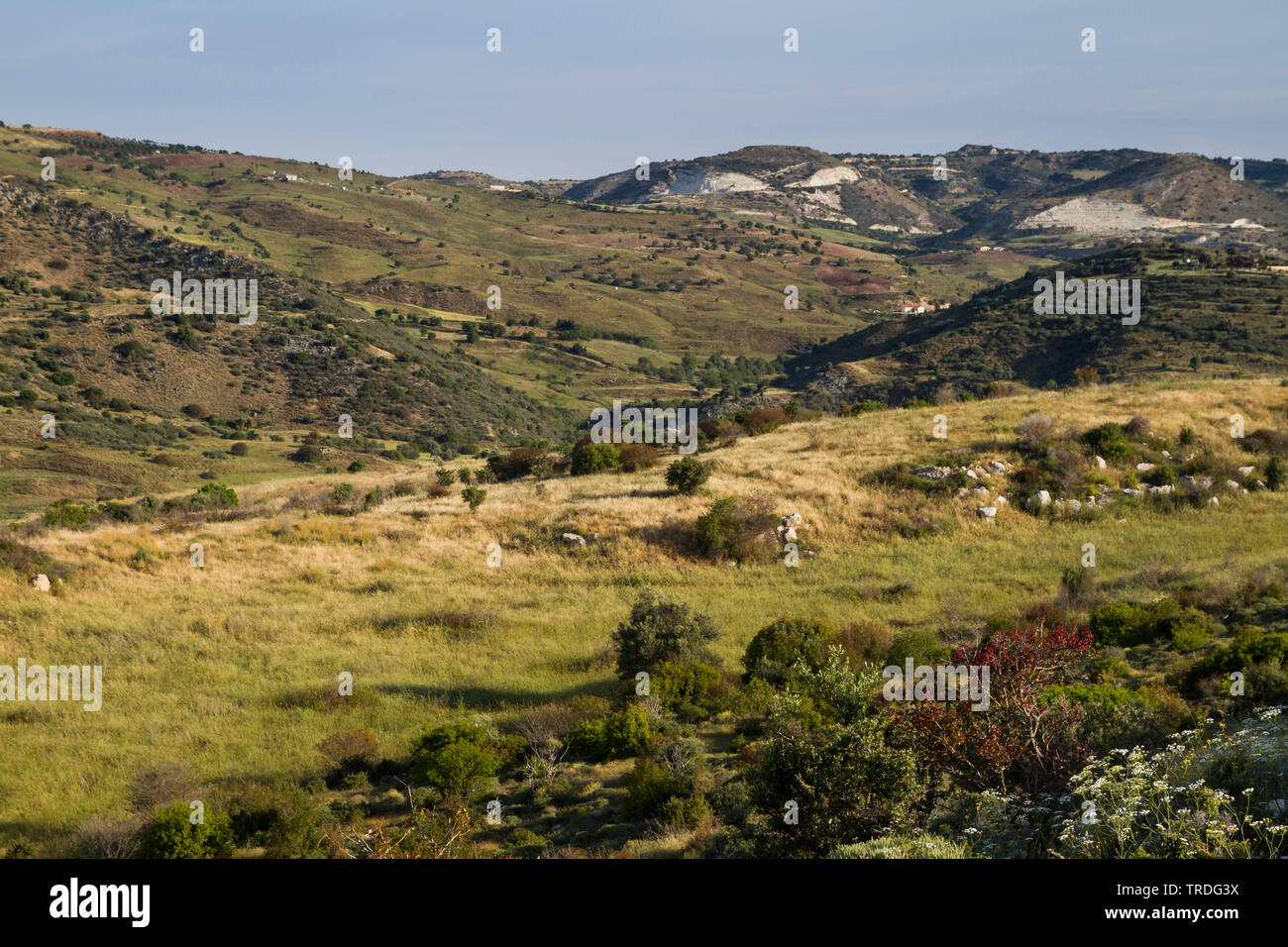 Paesaggio mediterraneo su Cipro, Cipro Foto Stock