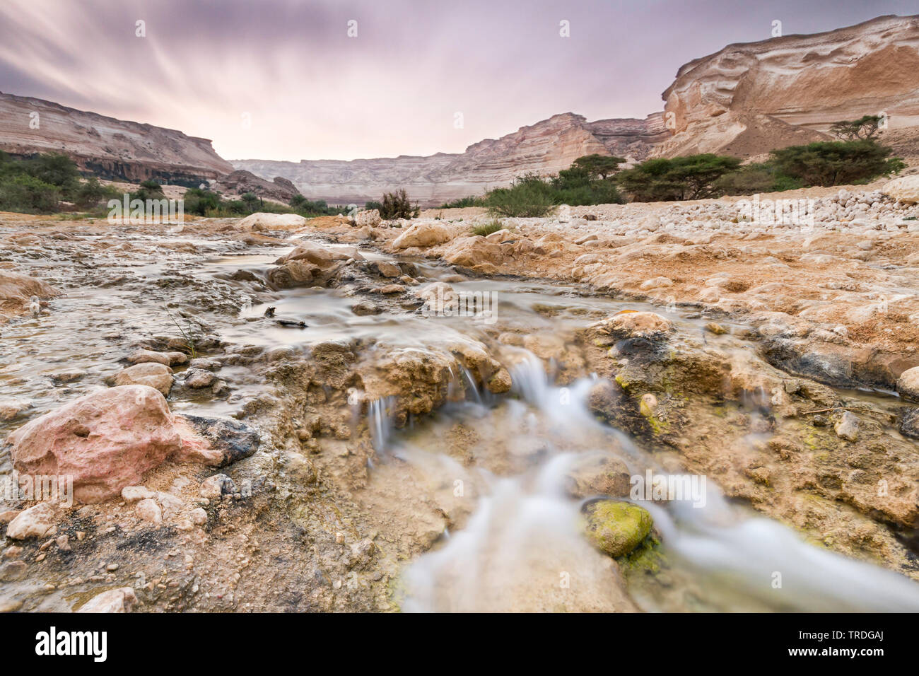 Paesaggio Wadi a Ash Shuwaymiyah, Oman Foto Stock
