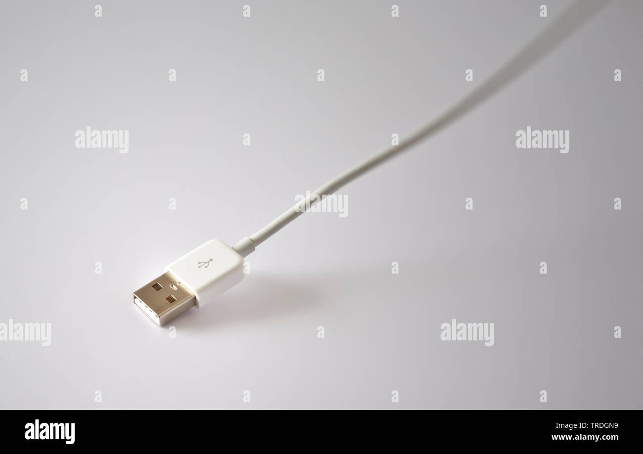 La computer grafica 3D, cavo con spina USB in colore bianco contro uno sfondo bianco Foto Stock