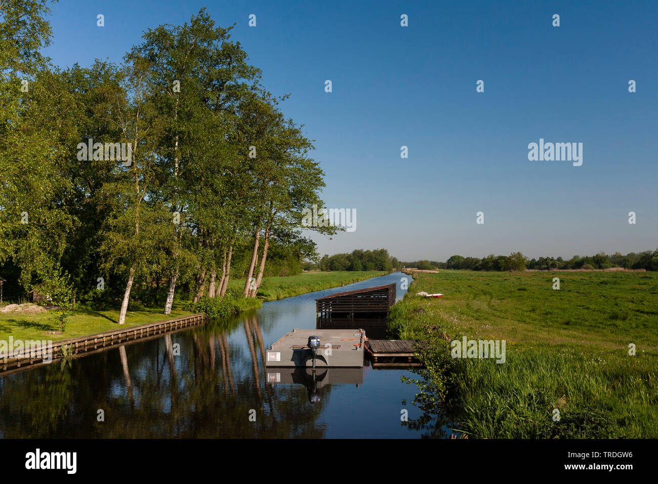 Barca Ormeggiata al pontile in prati, Paesi Bassi, Frisia, Rottige Meente Foto Stock