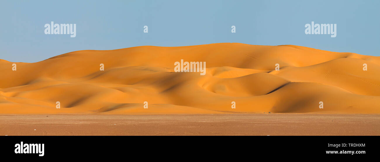 Il paesaggio del deserto in Oman, Oman Foto Stock