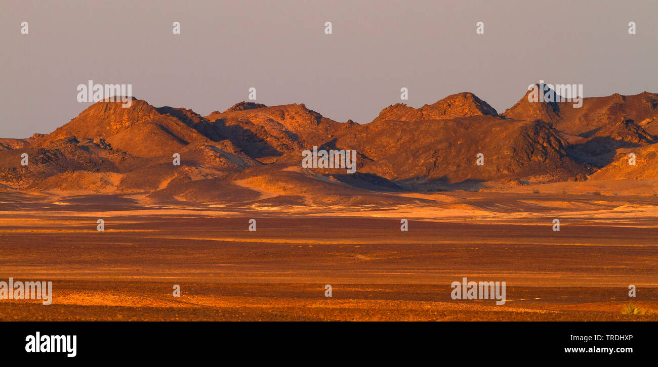 Deserto centrale di Oman, Oman Foto Stock