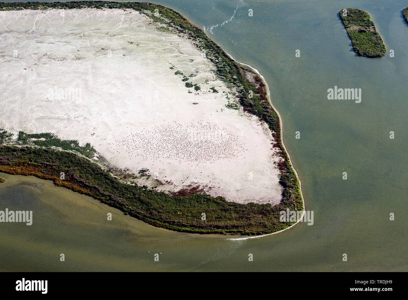 Uccello artificiale isola De Kreupel in Ijsselmeer, foto aerea, Paesi Bassi Paesi Bassi del Nord, De Kreupel Foto Stock