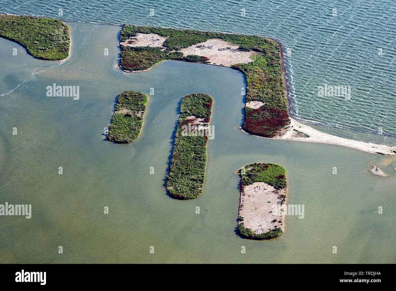 Uccello artificiale isola De Kreupel in Ijsselmeer, foto aerea, Paesi Bassi Paesi Bassi del Nord, De Kreupel Foto Stock