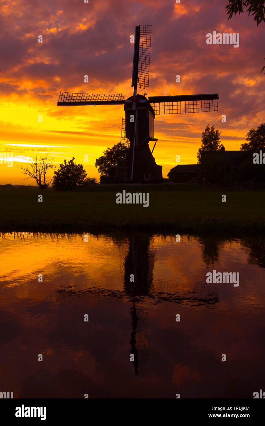 Mulino a vento nella luce della sera, Paesi Bassi Paesi Bassi del Nord, Kockengen Foto Stock