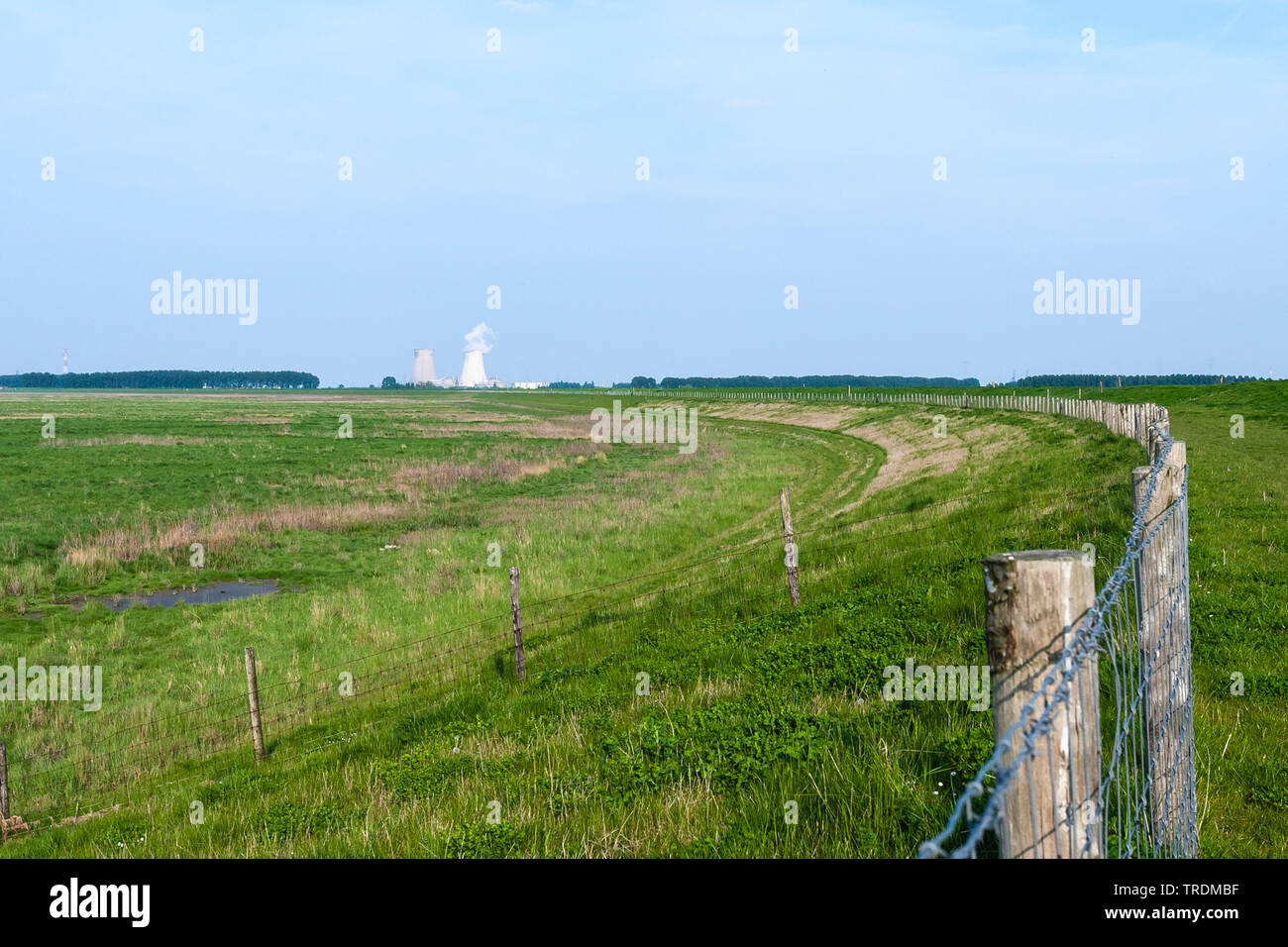 Paesaggio di annegato Land Saeftinghe con impianto di energia nucleare in background, Paesi Bassi; Nederland, Zeeland, Verdronken Land van Saeftinghe Foto Stock