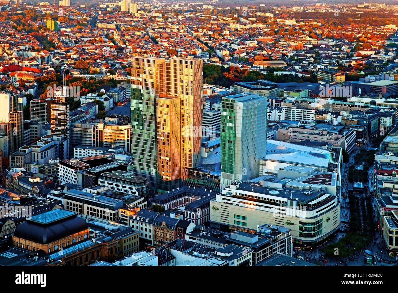 Vista dalla Torre principale alla città in sunset, Germania, Hesse, Frankfurt am Main Foto Stock