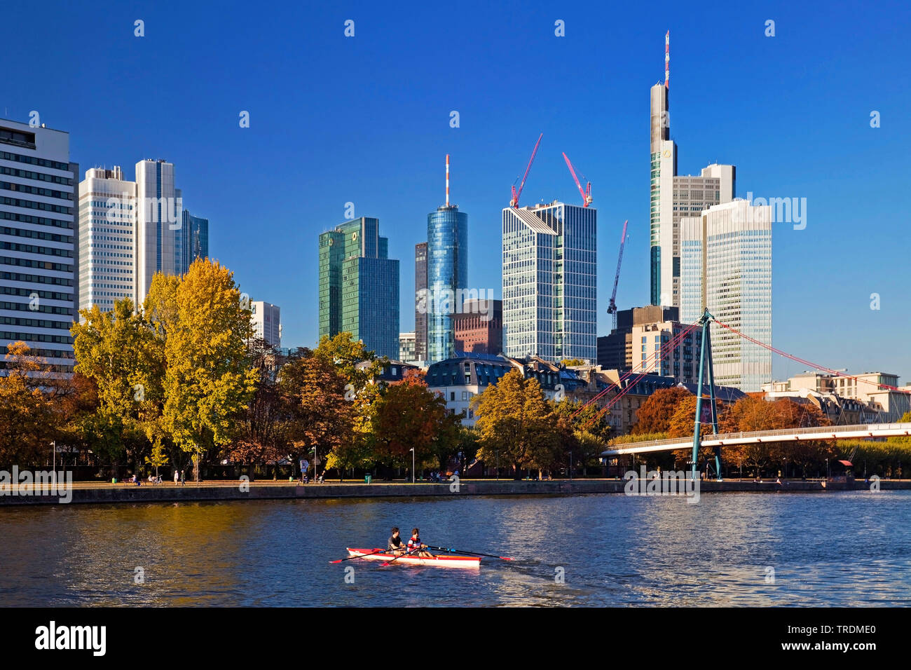 Canotto sul principale, blocchi a torre del quartiere finanziario in background, Germania, Hesse, Frankfurt am Main Foto Stock